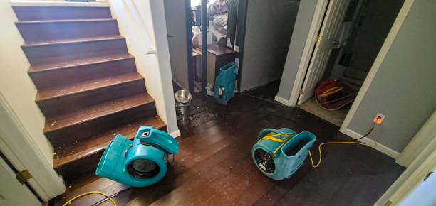 Water damage restoration experts