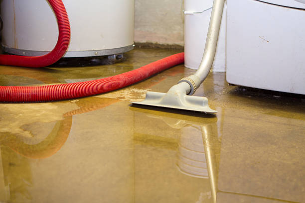 Best Water damage restoration near me  in Fresno, TX
