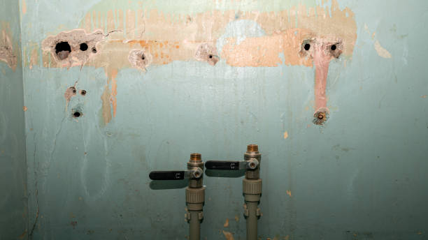 Best Ceiling water damage repair  in Fresno, TX
