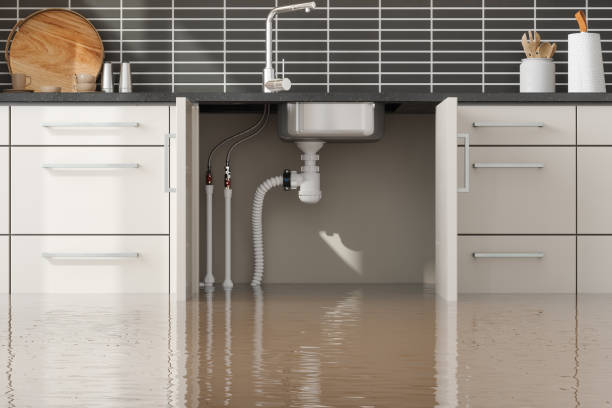Best 24-hour water damage restoration  in Fresno, TX