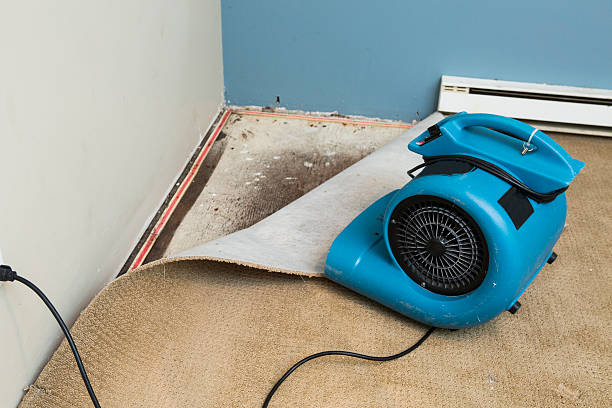 Best Carpet water damage restoration  in Fresno, TX